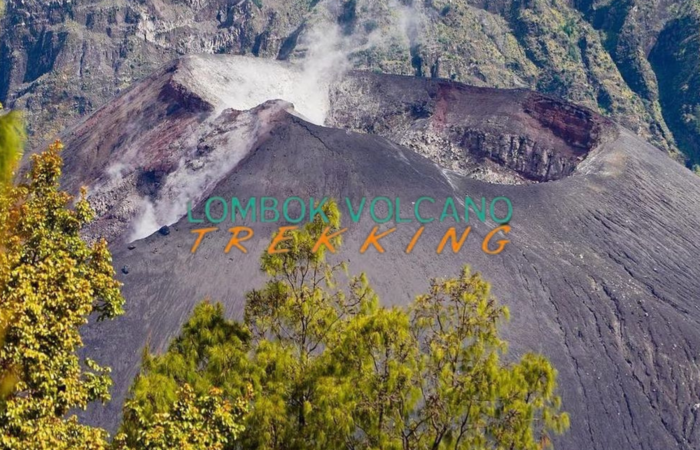 3D2N Trekking Mount Rinjani, complete Rinjani trek is our most popular trekking package. If you want to experience the full trek of Mount Rinjani in a short period of time, then this option is ideal for you