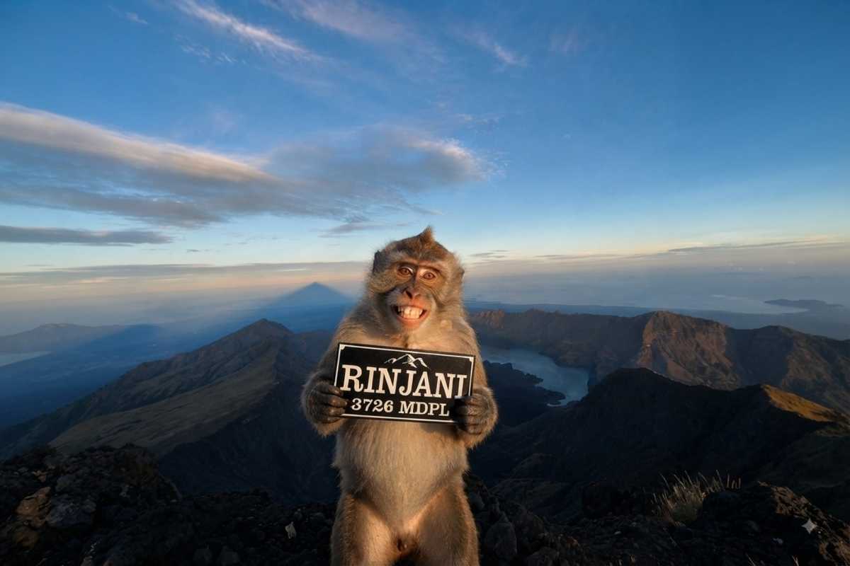 rinjani summit trek 3 days 2 nights